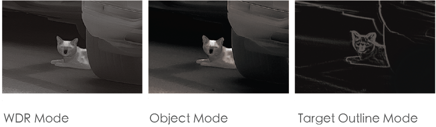 Various Image Display Modes 3x