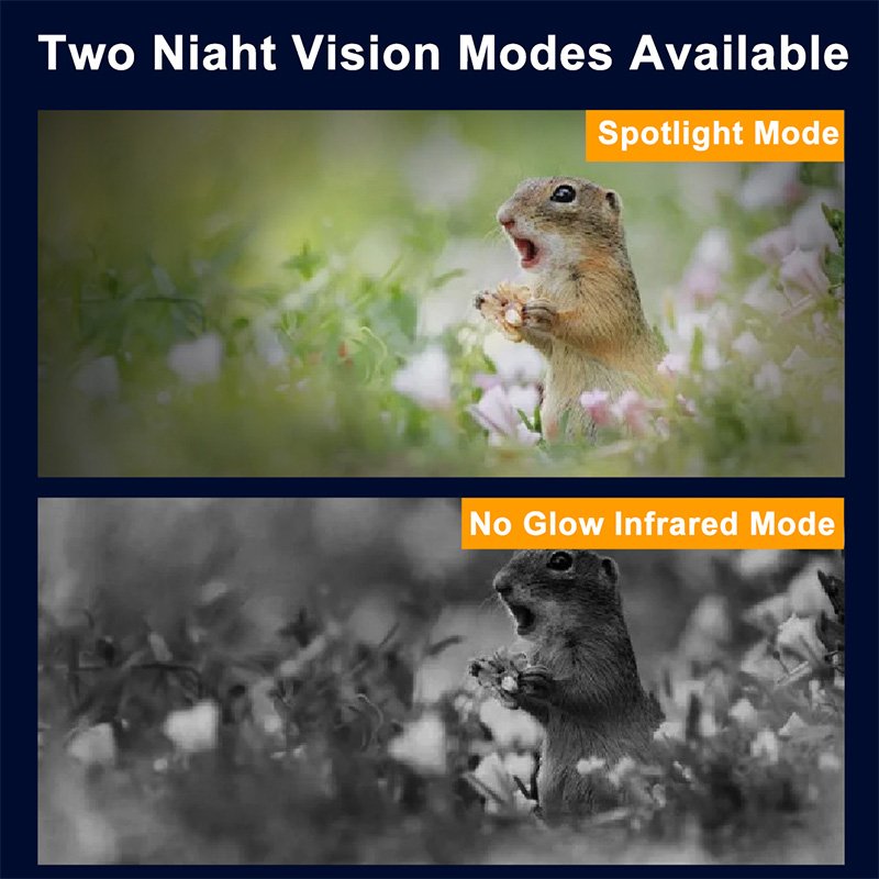 BS16 4G Outdoor Hunting Camera-4 BS16 4G Outdoor Hunting Camera
