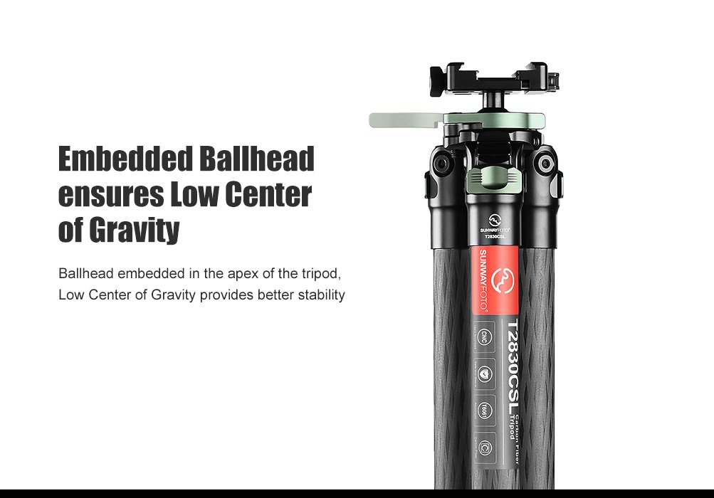 SUNWAYFOTO T2830CSL-D Carbon Fiber Tripod