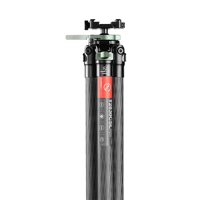 SUNWAYFOTO T2830CSL-D Carbon Fiber Tripod with Inverted Ball Head-3 SUNWAYFOTO T2830CSL-D Carbon Fiber Tripod with Inverted Ball Head
