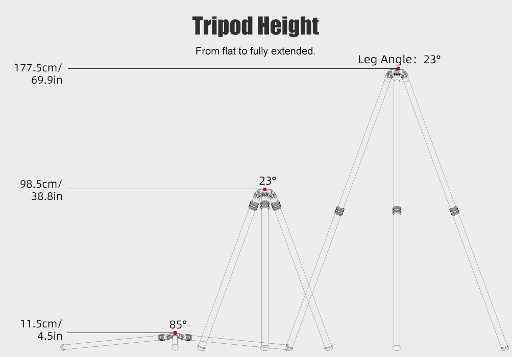 SUNWAYFOTO T4020CMLI Tripod Carbon Fiber