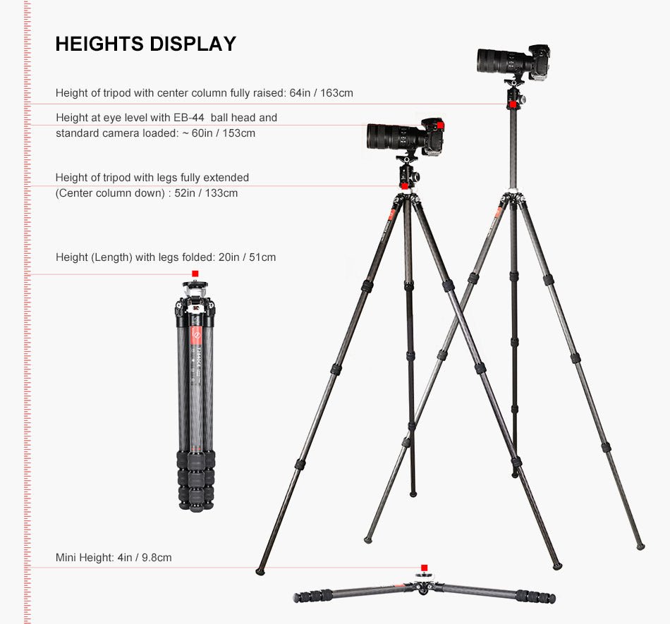 Sunwayfoto T2840CE+EB-44